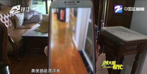 杭州女业主最新爆料事件,揭露小区物业惊人内幕